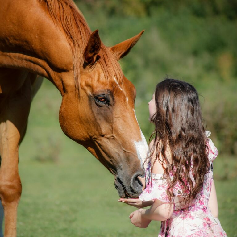 com animale 2