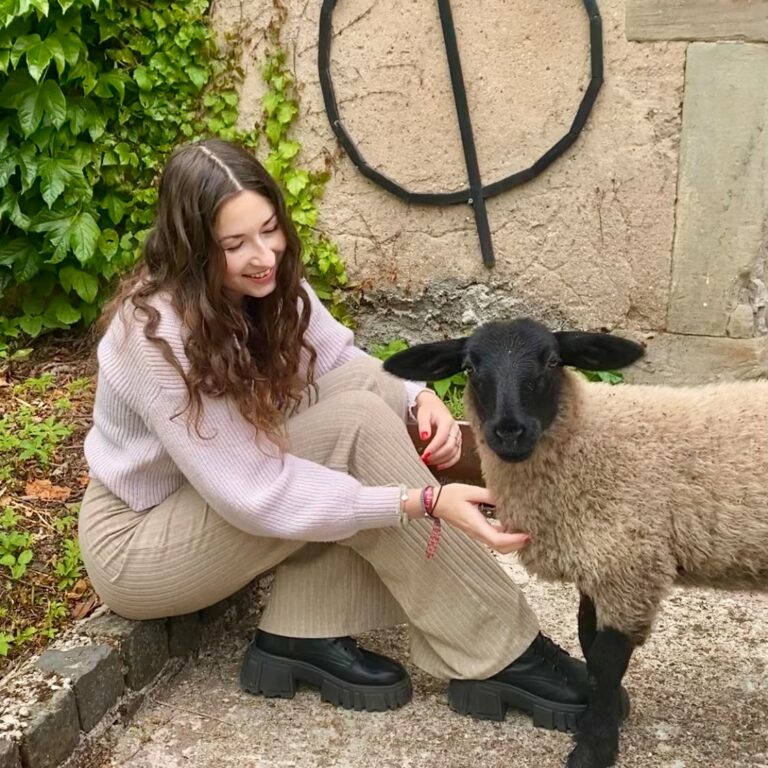 com animale
